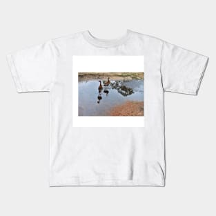 ducks in the park photograph Kids T-Shirt